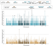 Schematic showing spherule and hyphal enriched regions of the Coccidioides posadasii Silveira genome