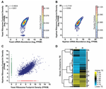 Plots of translational efficiency (TE) inferred from ribosome footprinting of Histoplasma.  TE is correlated between yeast and hyphae, but a small set of genes have differential TE between the two morphologies.